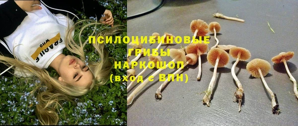 дживик Алексеевка