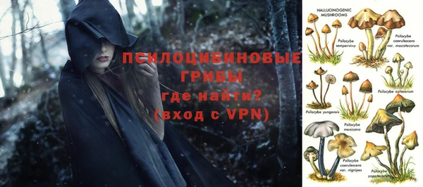 МДМА Новозыбков