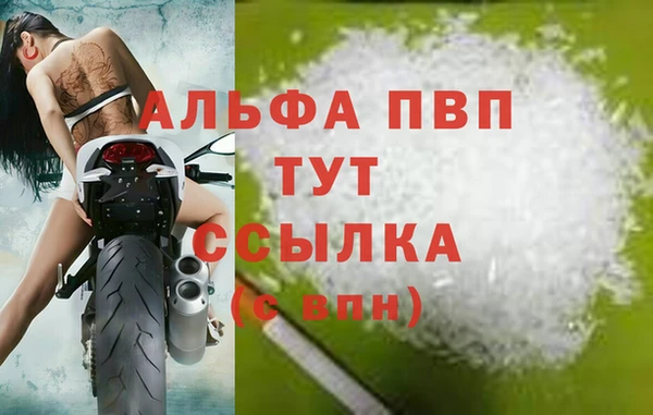 эйфоретик Новодвинск