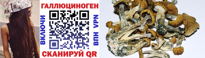 Галлюциногенные грибы прущие грибы  Сосновый Бор 