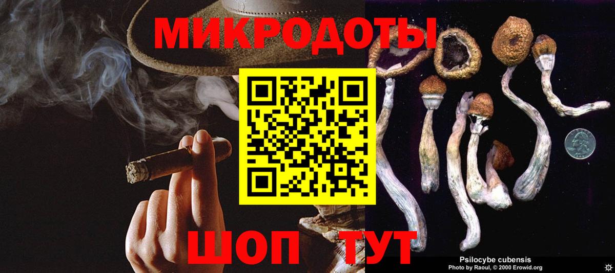 Сосновый Бор  Галлюциногенные грибы Psilocybine cubensis  Вход с VPN 