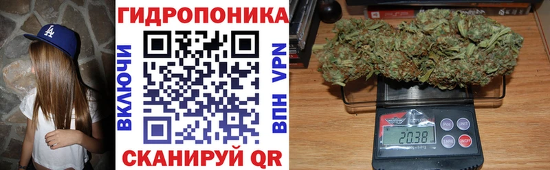 Шишки марихуана White Widow  Сосновый Бор 