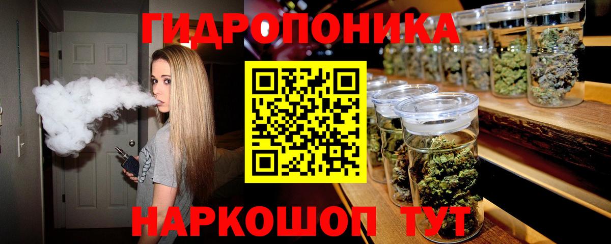 Шишки марихуана марихуана Сосновый Бор